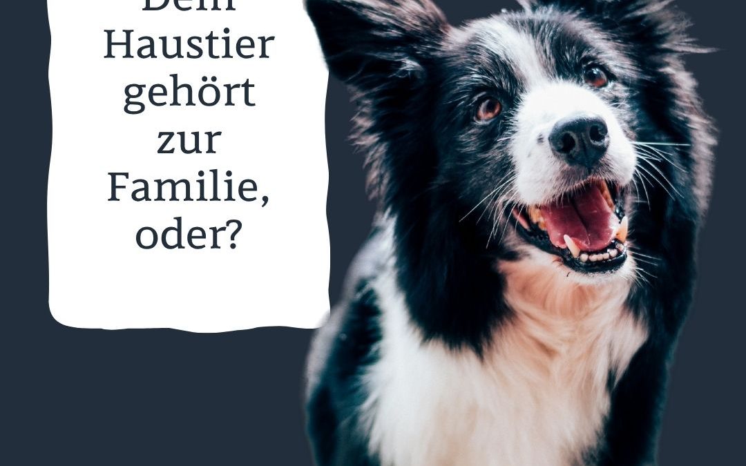 …und wenn Dein Tier krank wird?